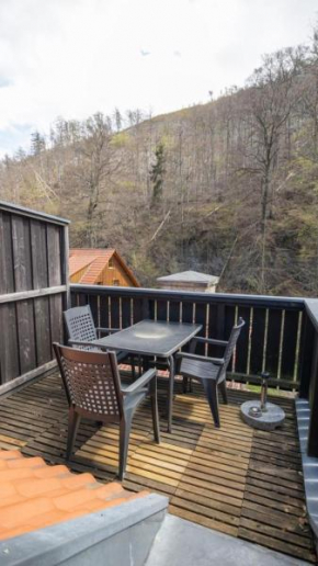 Ferienwohnung Forsthaus am Brocken, 40 qm, 1 Schlafzimmer F8